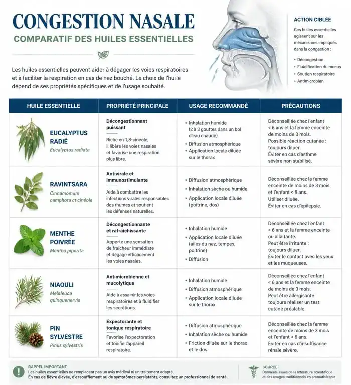 Infographie comparative des huiles essentielles pour déboucher le nez et soulager la congestion nasale