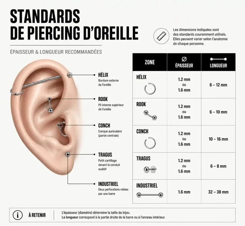 Infographie des standards de tailles et épaisseurs pour piercing barre oreille