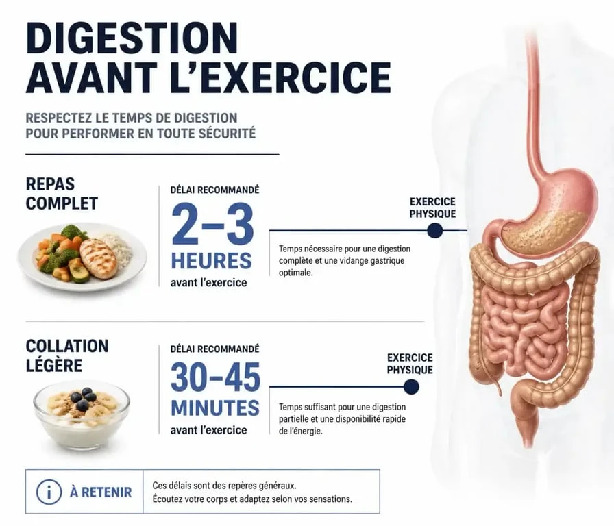 Infographie sur le timing idéal pour manger avant le sport